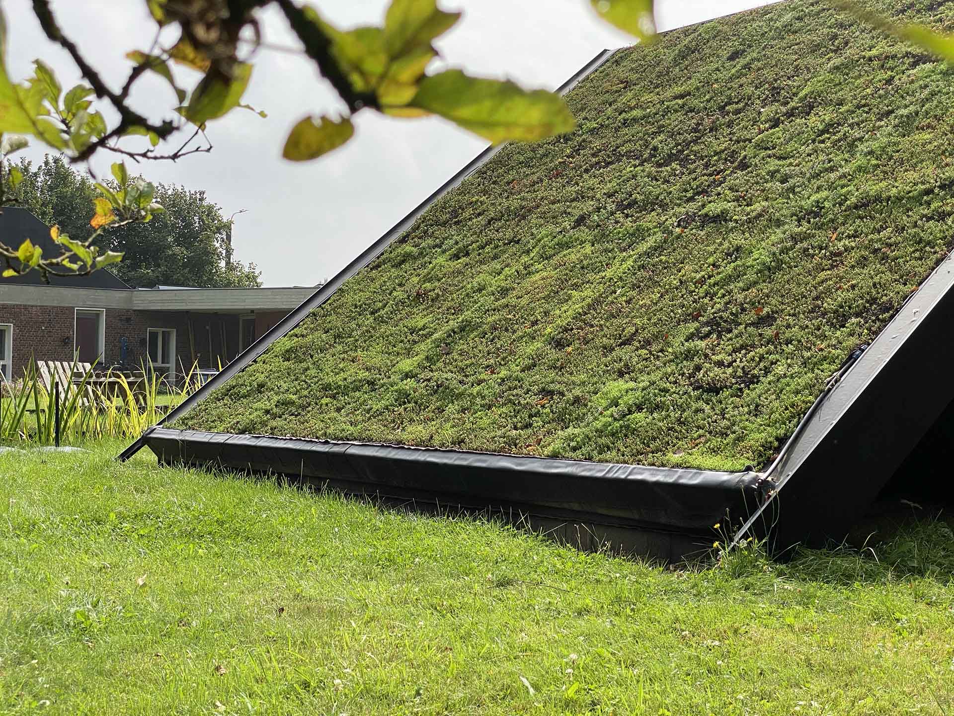 Poolhouse met groen dak | Woodz Design | Zander Steels